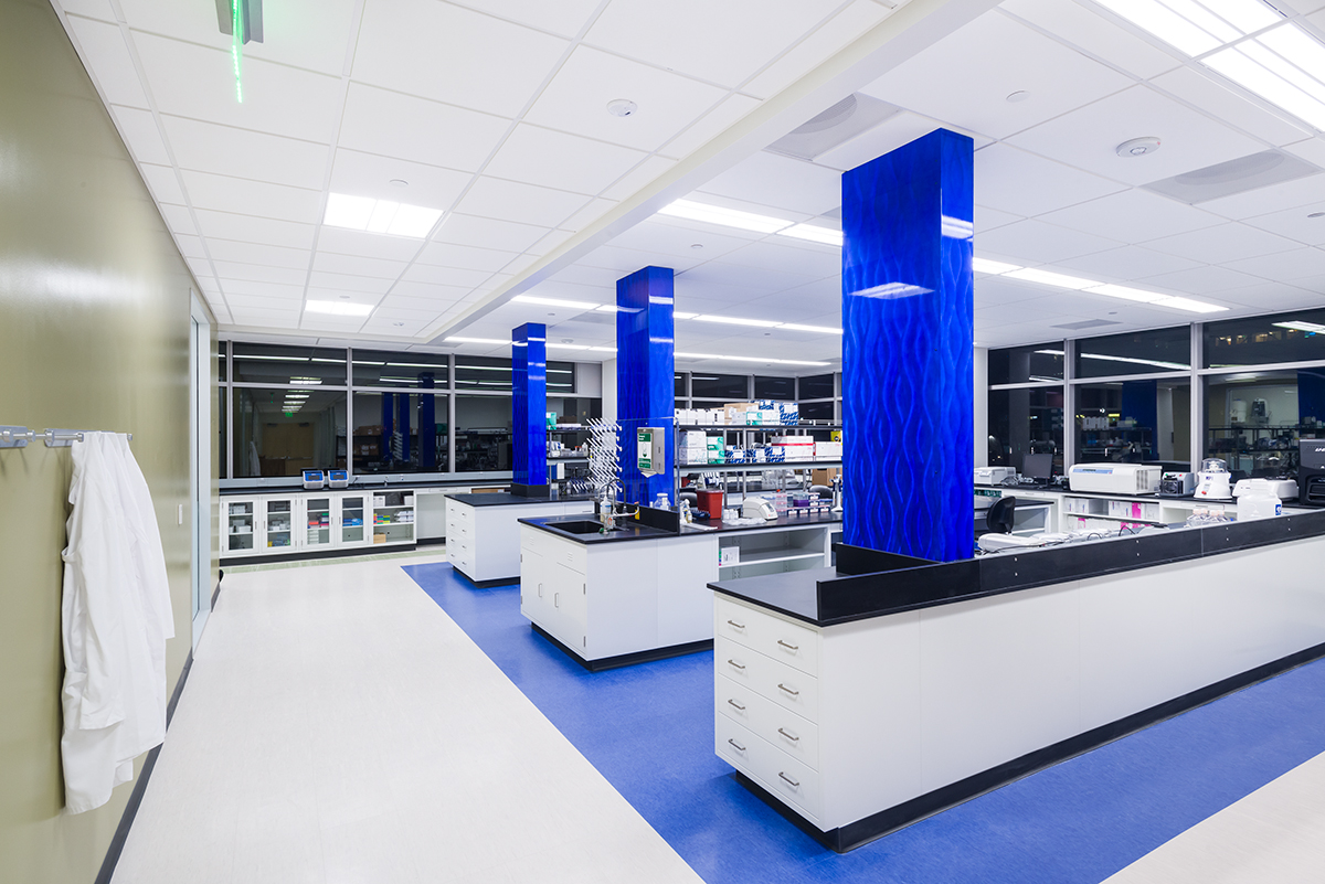 BN_499_illinois_0566