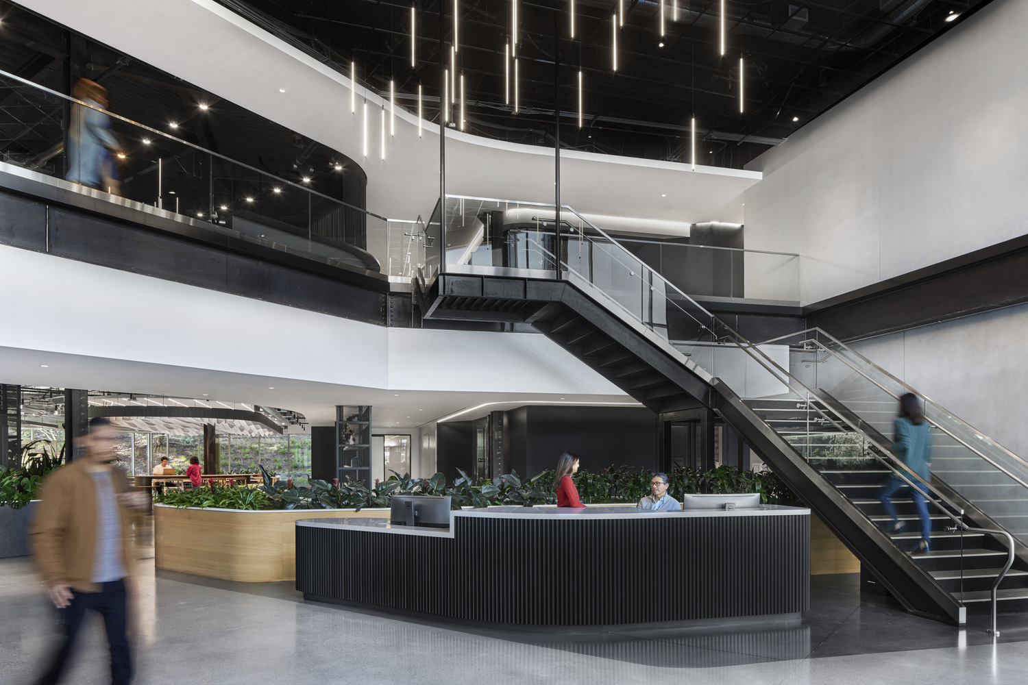 321023_300_N19_medium