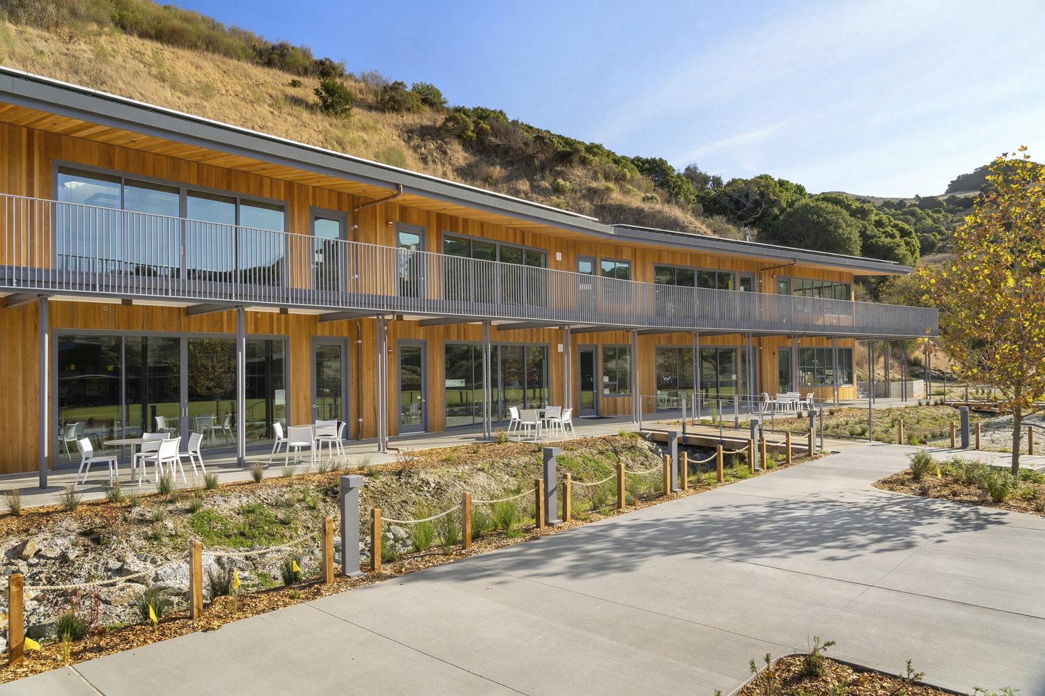 2030008_N25_medium-1